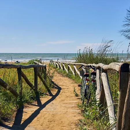 In A Modern Coastal Building Bibione